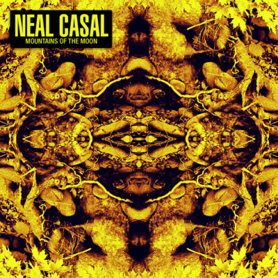 Neal Casal - Cover